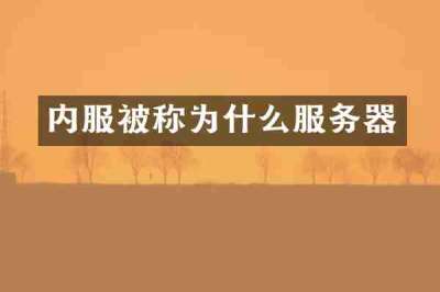 内服被称为什么服务器