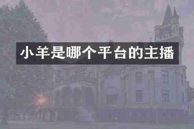 小羊是哪个平台的主播