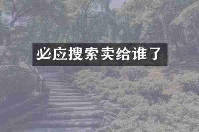 必应搜索卖给谁了