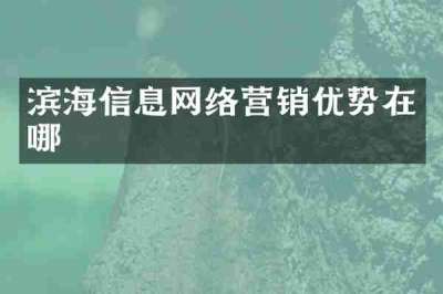 滨海信息网络营销优势在哪