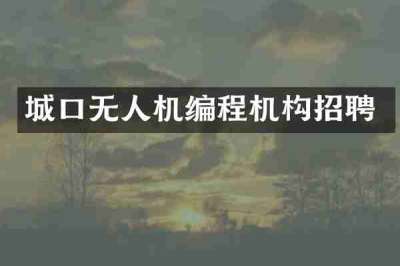 城口无人机编程机构招聘