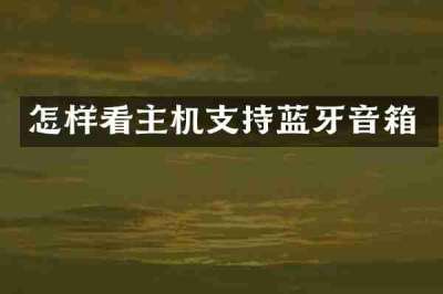 怎样看主机支持蓝牙音箱