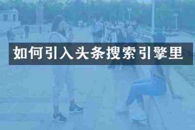 如何引入头条搜索引擎里
