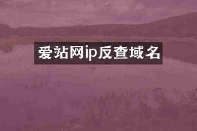 爱站网ip反查域名
