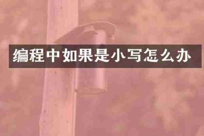 编程中如果是小写怎么办
