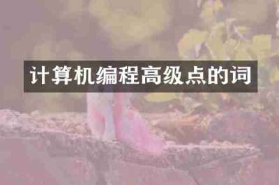 计算机编程高级点的词