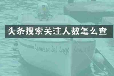 头条搜索关注人数怎么查