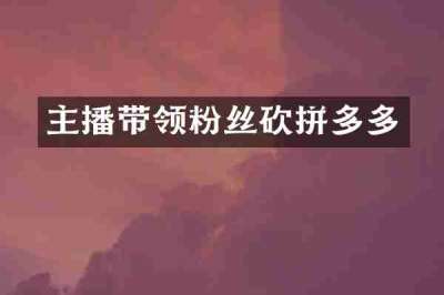 主播带领粉丝砍拼多多