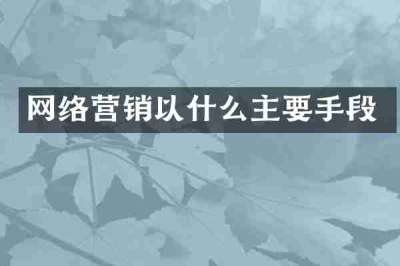 网络营销以什么主要手段