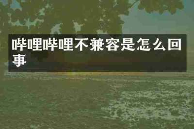 哔哩哔哩不兼容是怎么回事