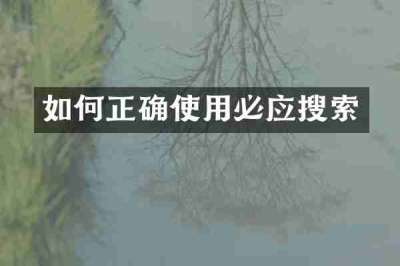如何正确使用必应搜索