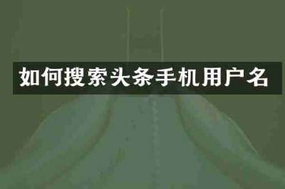 如何搜索头条手机用户名