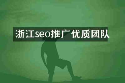 浙江seo推广优质团队
