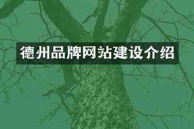 德州品牌网站建设介绍
