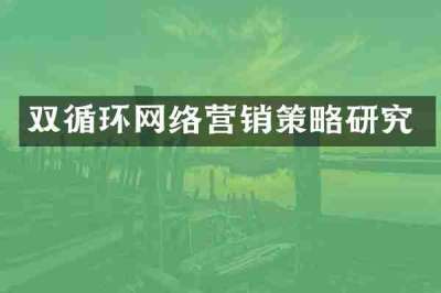 双循环网络营销策略研究