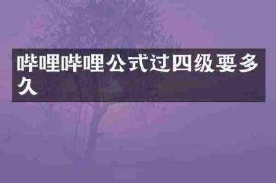 哔哩哔哩公式过四级要多久
