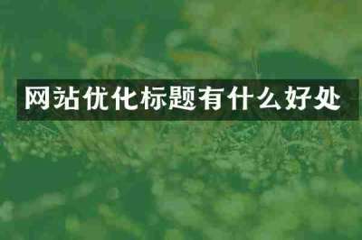 网站优化标题有什么好处