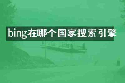 bing在哪个国家搜索引擎