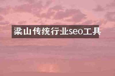 梁山传统行业seo工具