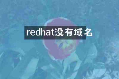 redhat没有域名