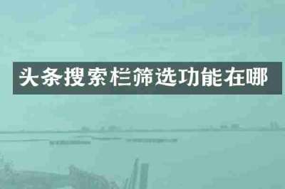 头条搜索栏筛选功能在哪