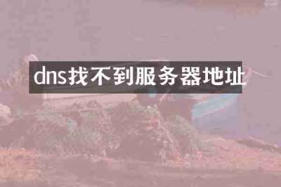 dns找不到服务器地址