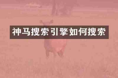 神马搜索引擎如何搜索