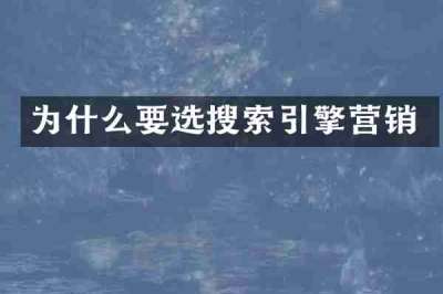 为什么要选搜索引擎营销