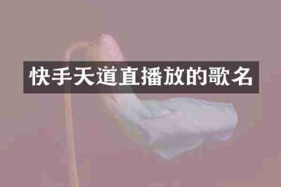 快手天道直播放的歌名