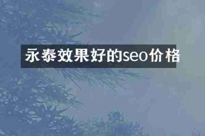 永泰效果好的seo价格