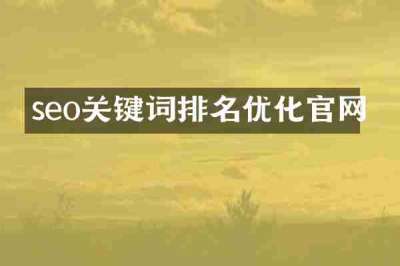 seo关键词排名优化官网