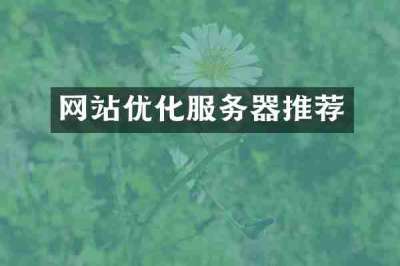 网站优化服务器推荐