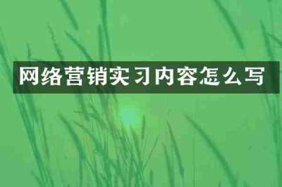 网络营销实习内容怎么写
