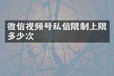 微信视频号私信限制上限多少次
