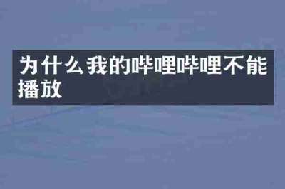 为什么我的哔哩哔哩不能播放