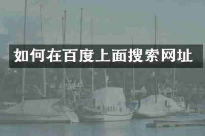 如何在百度上面搜索网址