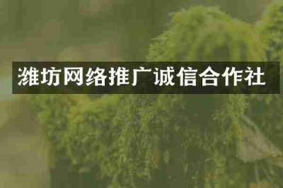 潍坊网络推广诚信合作社