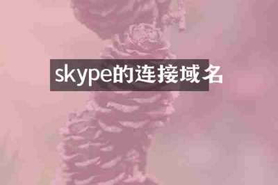 skype的连接域名