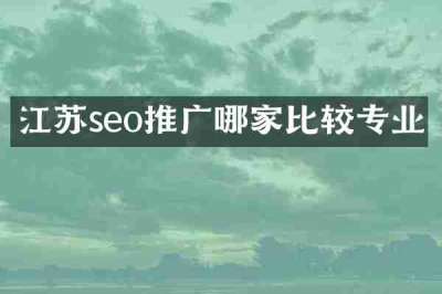 江苏seo推广哪家比较专业
