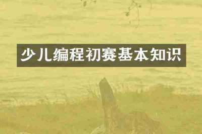 少儿编程初赛基本知识