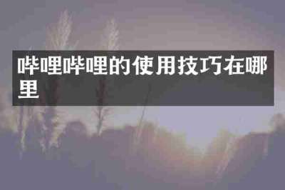 哔哩哔哩的使用技巧在哪里