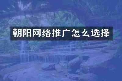 朝阳网络推广怎么选择