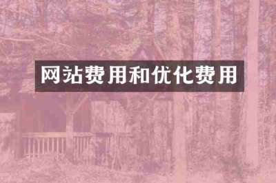 网站费用和优化费用