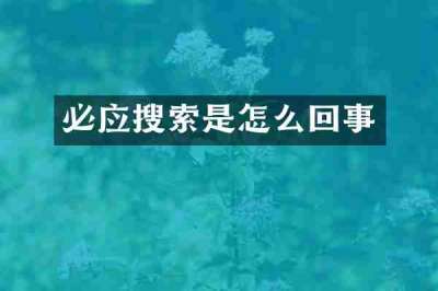 必应搜索是怎么回事