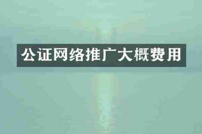 公证网络推广大概费用
