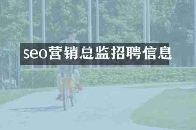 seo营销总监招聘信息