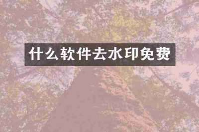 什么软件去水印免费