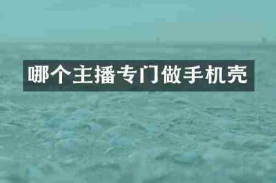 哪个主播专门做手机壳