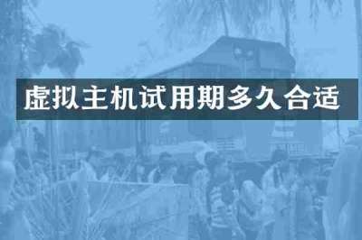 虚拟主机试用期多久合适