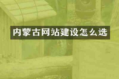 内蒙古网站建设怎么选